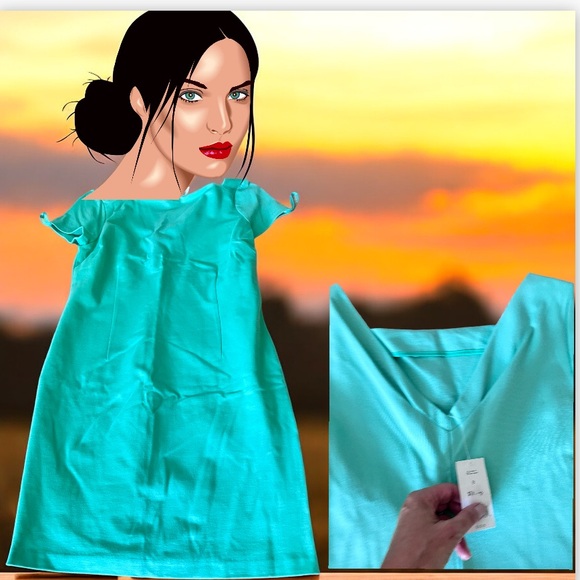 Banana Republic Turquoise Stretch Dress V Back - Picture 1 of 7